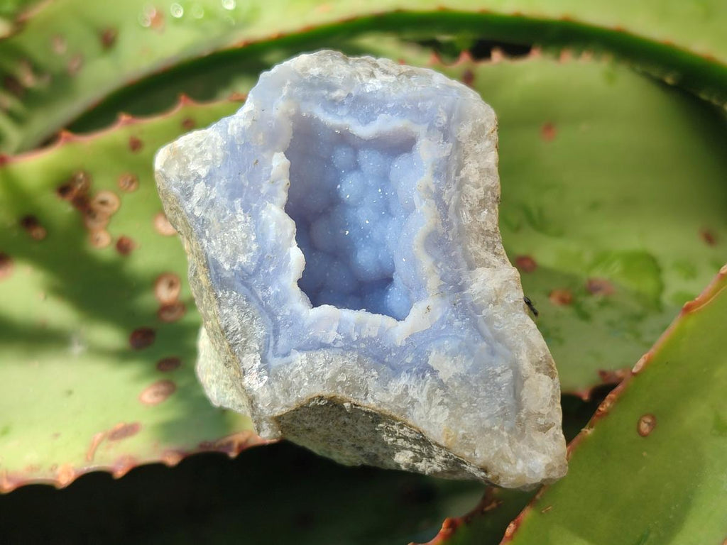 Natural Blue Lace Agate Geode Specimens x 24 From Nsanje, Malawi