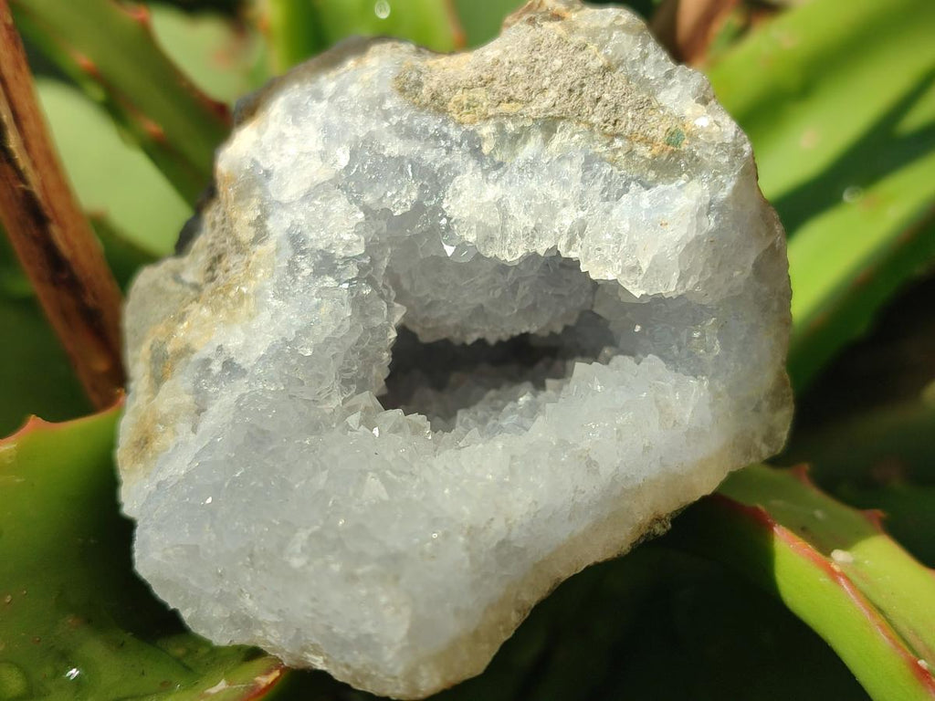 Natural Blue Lace Agate Geode Specimens x 24 From Nsanje, Malawi