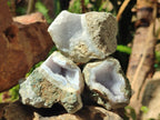 Natural Blue Lace Agate Geode Specimens x 24 From Nsanje, Malawi