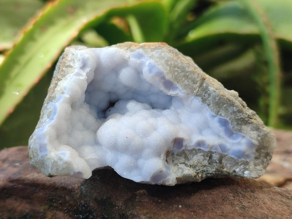 Natural Blue Lace Agate Geode Specimens x 24 From Nsanje, Malawi
