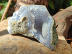 Natural Blue Lace Agate Geode Specimens x 24 From Nsanje, Malawi
