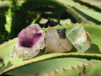 Natural Mix of Mineral Specimens x 70 From Erongo, Namibia