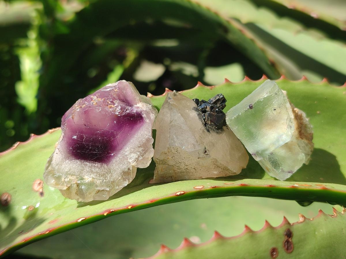 Natural Mix of Mineral Specimens x 70 From Erongo, Namibia