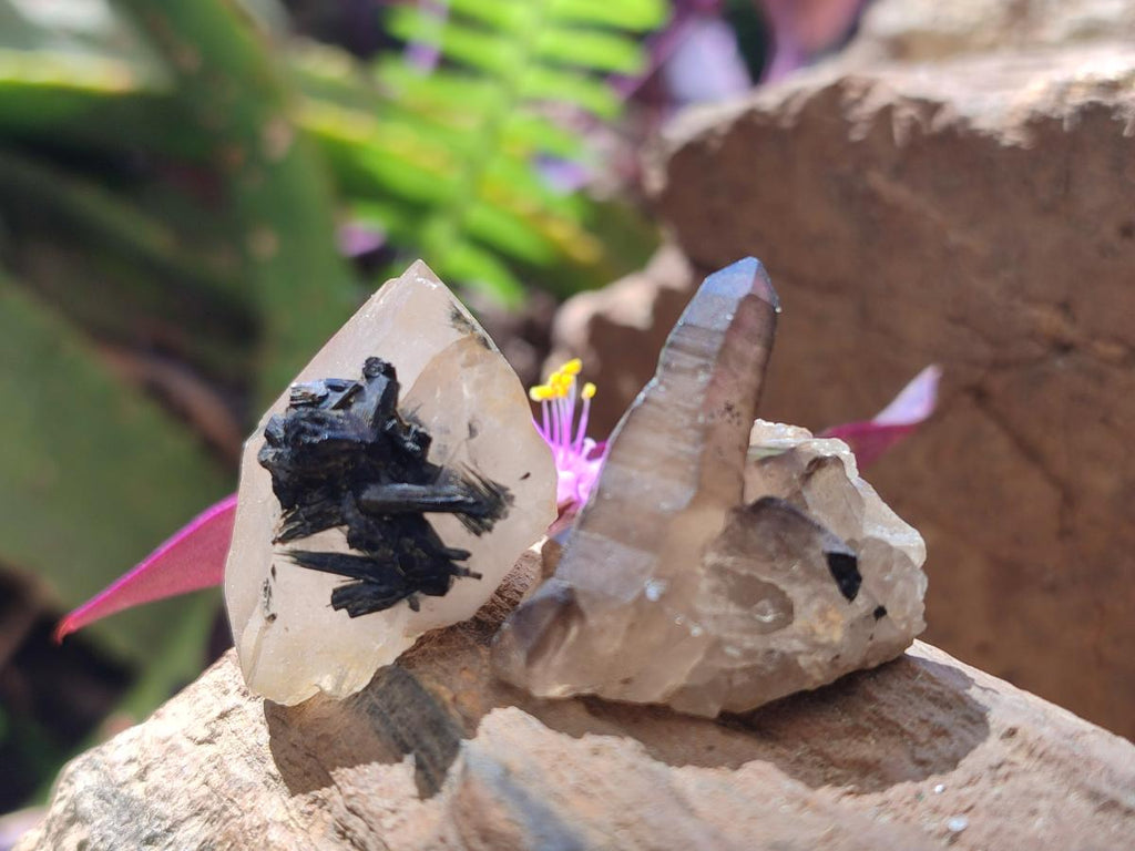 Natural Mix of Mineral Specimens x 70 From Erongo, Namibia