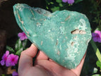 Polished One Side Great Dyke Mtorolite Chrysoprase Slices x 2 From Great Dyke Mountain Range, Zimbabwe