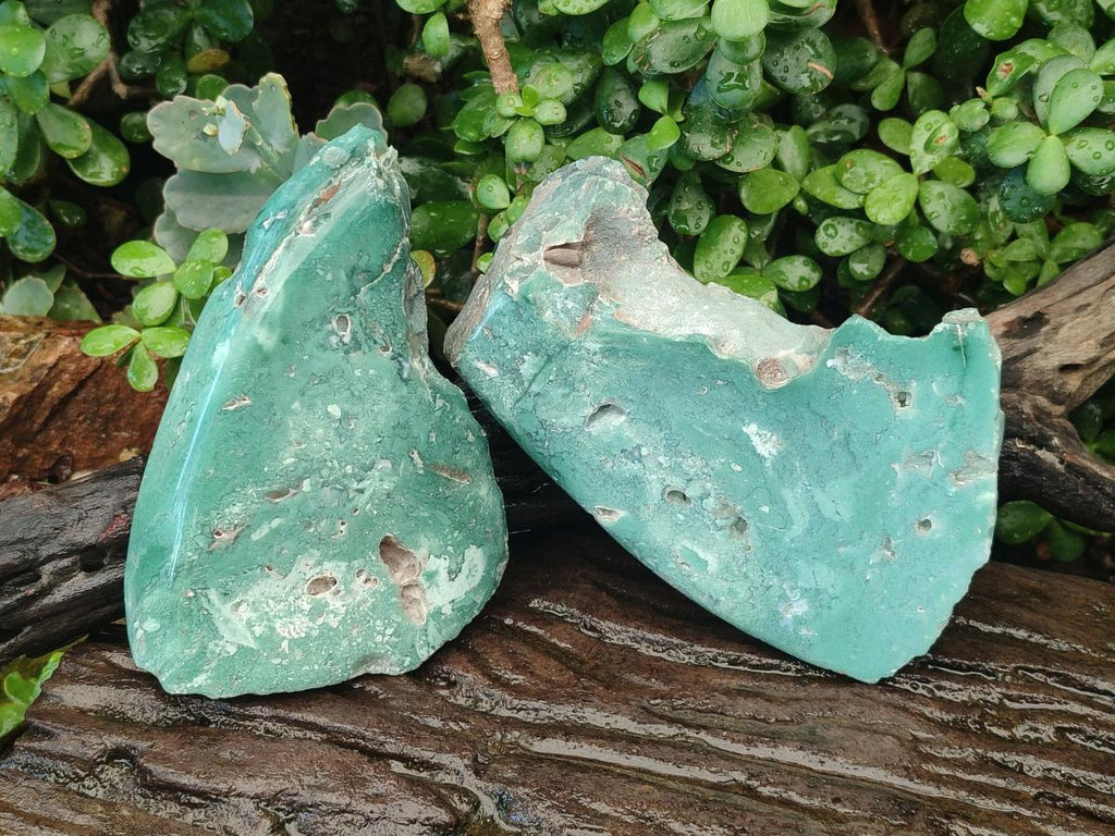 Polished One Side Great Dyke Mtorolite Chrysoprase Slices x 2 From Great Dyke Mountain Range, Zimbabwe