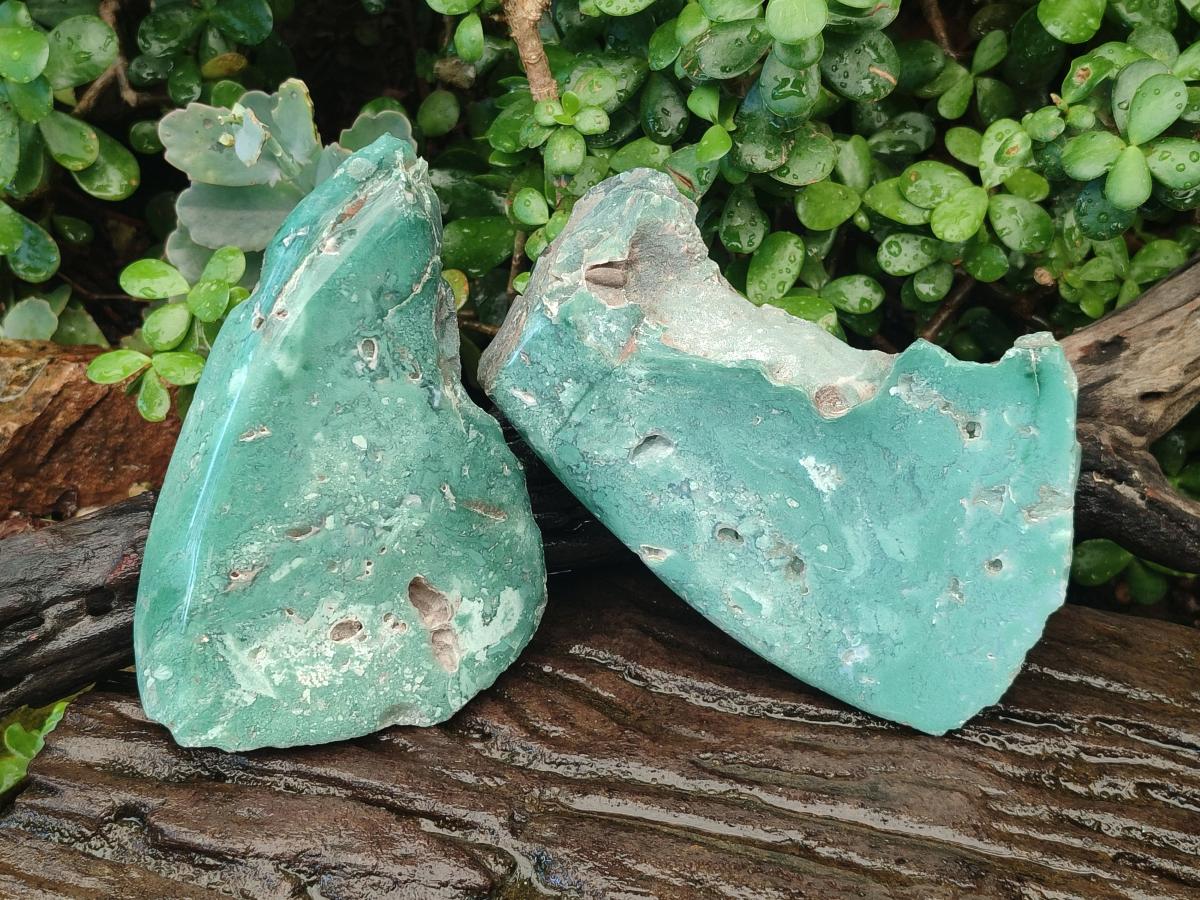 Polished One Side Great Dyke Mtorolite Chrysoprase Slices x 2 From Great Dyke Mountain Range, Zimbabwe