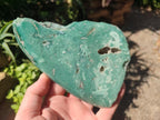 Polished One Side Great Dyke Mtorolite Chrysoprase Slices x 2 From Great Dyke Mountain Range, Zimbabwe