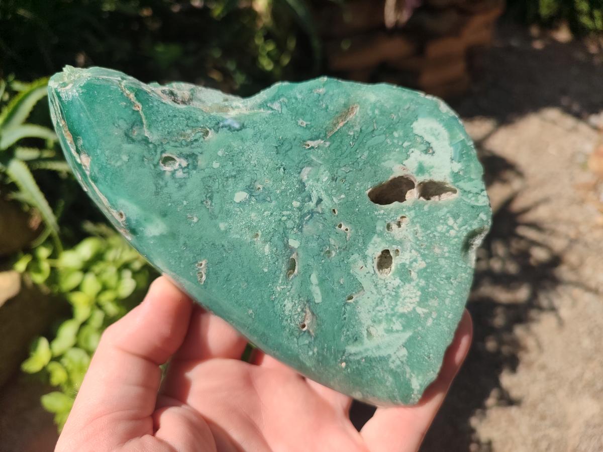 Polished One Side Great Dyke Mtorolite Chrysoprase Slices x 2 From Great Dyke Mountain Range, Zimbabwe