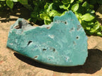 Polished One Side Great Dyke Mtorolite Chrysoprase Slices x 2 From Great Dyke Mountain Range, Zimbabwe