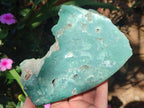 Polished One Side Great Dyke Mtorolite Chrysoprase Slices x 2 From Great Dyke Mountain Range, Zimbabwe