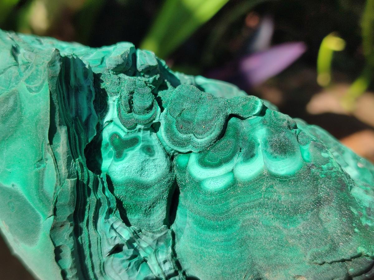Natural Large Etched Botryoidal Malachite Specimen x 1 From Congo