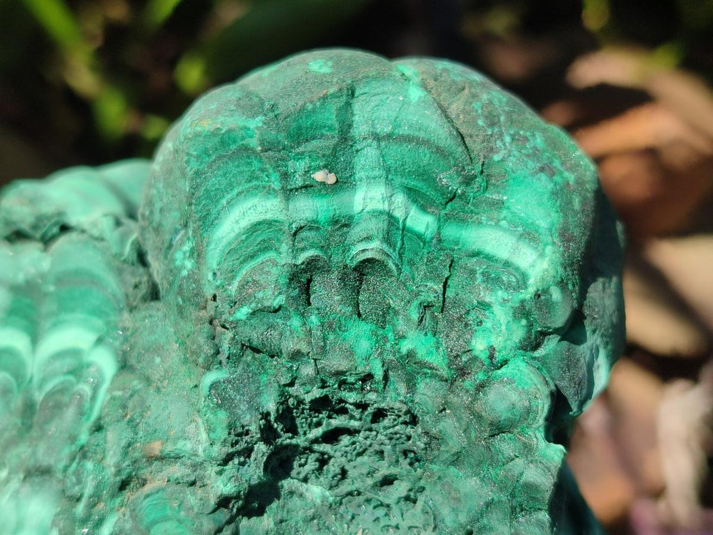 Natural Large Etched Botryoidal Malachite Specimen x 1 From Congo