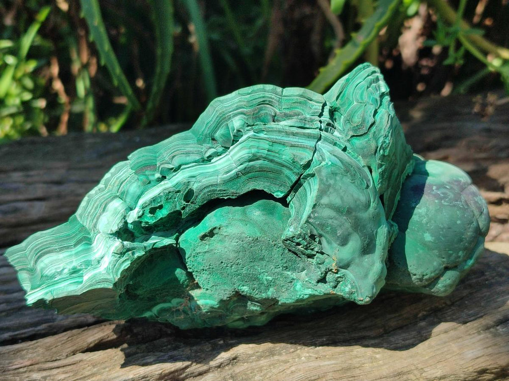 Natural Large Etched Botryoidal Malachite Specimen x 1 From Congo