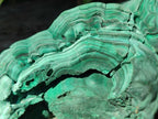 Natural Large Etched Botryoidal Malachite Specimen x 1 From Congo