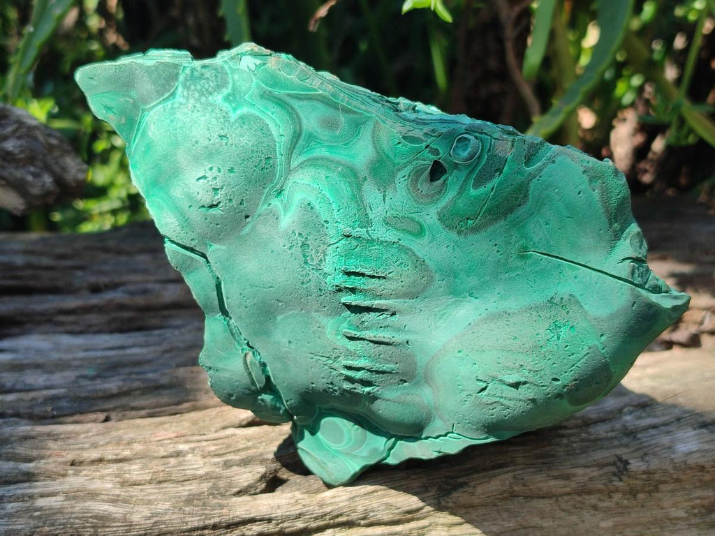 Natural Large Etched Botryoidal Malachite Specimen x 1 From Congo