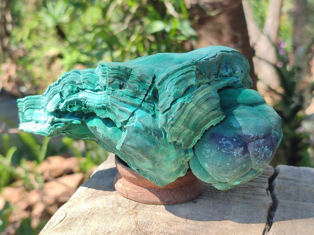 Natural Large Etched Botryoidal Malachite Specimen x 1 From Congo