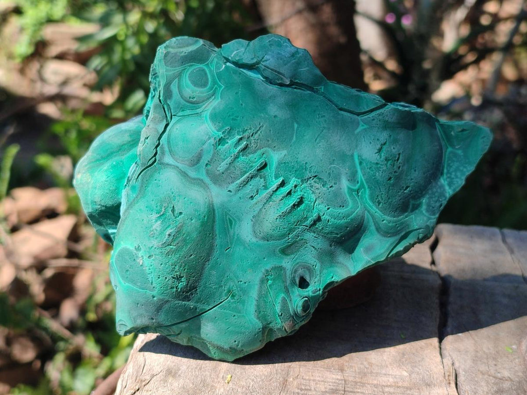 Natural Large Etched Botryoidal Malachite Specimen x 1 From Congo