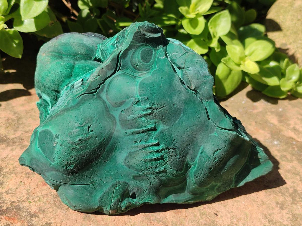 Natural Large Etched Botryoidal Malachite Specimen x 1 From Congo