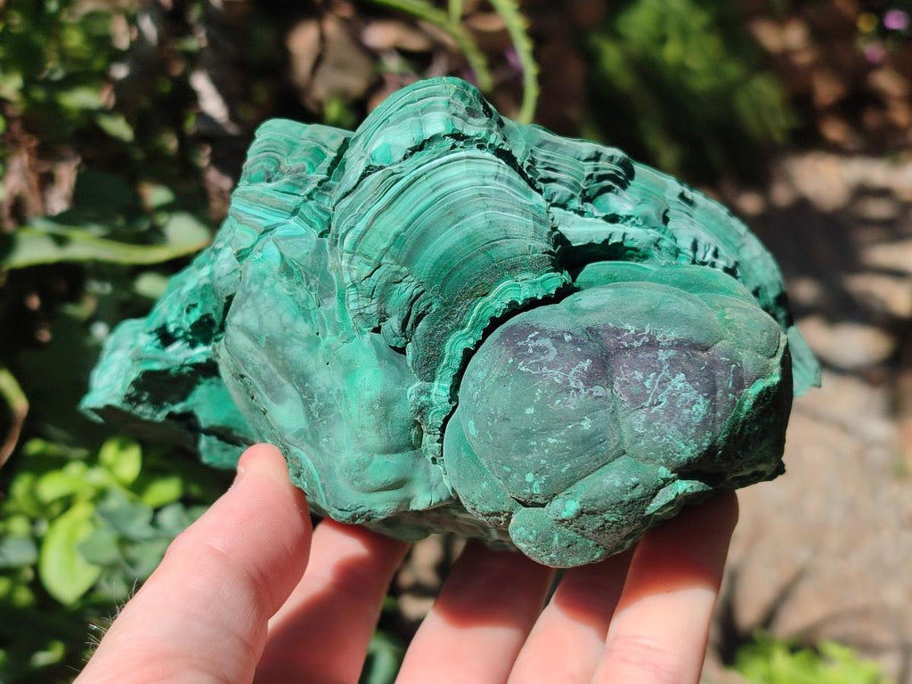 Natural Large Etched Botryoidal Malachite Specimen x 1 From Congo