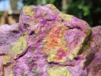 Natural Large Cobbed Stichtite Specimen x 1 From Barberton, South Africa