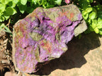Natural Large Cobbed Stichtite Specimen x 1 From Barberton, South Africa