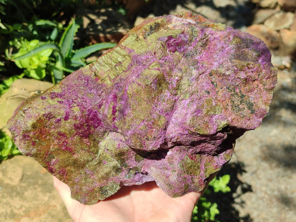 Natural Large Cobbed Stichtite Specimen x 1 From Barberton, South Africa
