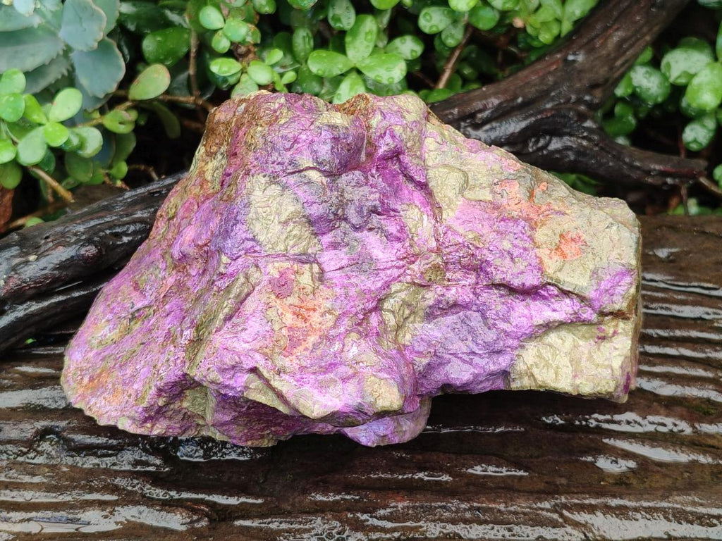 Natural Large Cobbed Stichtite Specimen x 1 From Barberton, South Africa