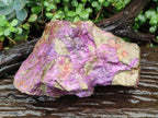 Natural Large Cobbed Stichtite Specimen x 1 From Barberton, South Africa