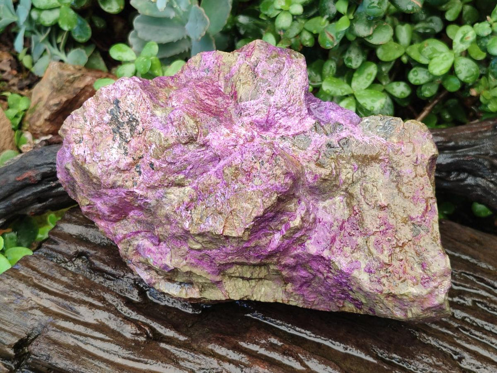 Natural Large Cobbed Stichtite Specimen x 1 From Barberton, South Africa