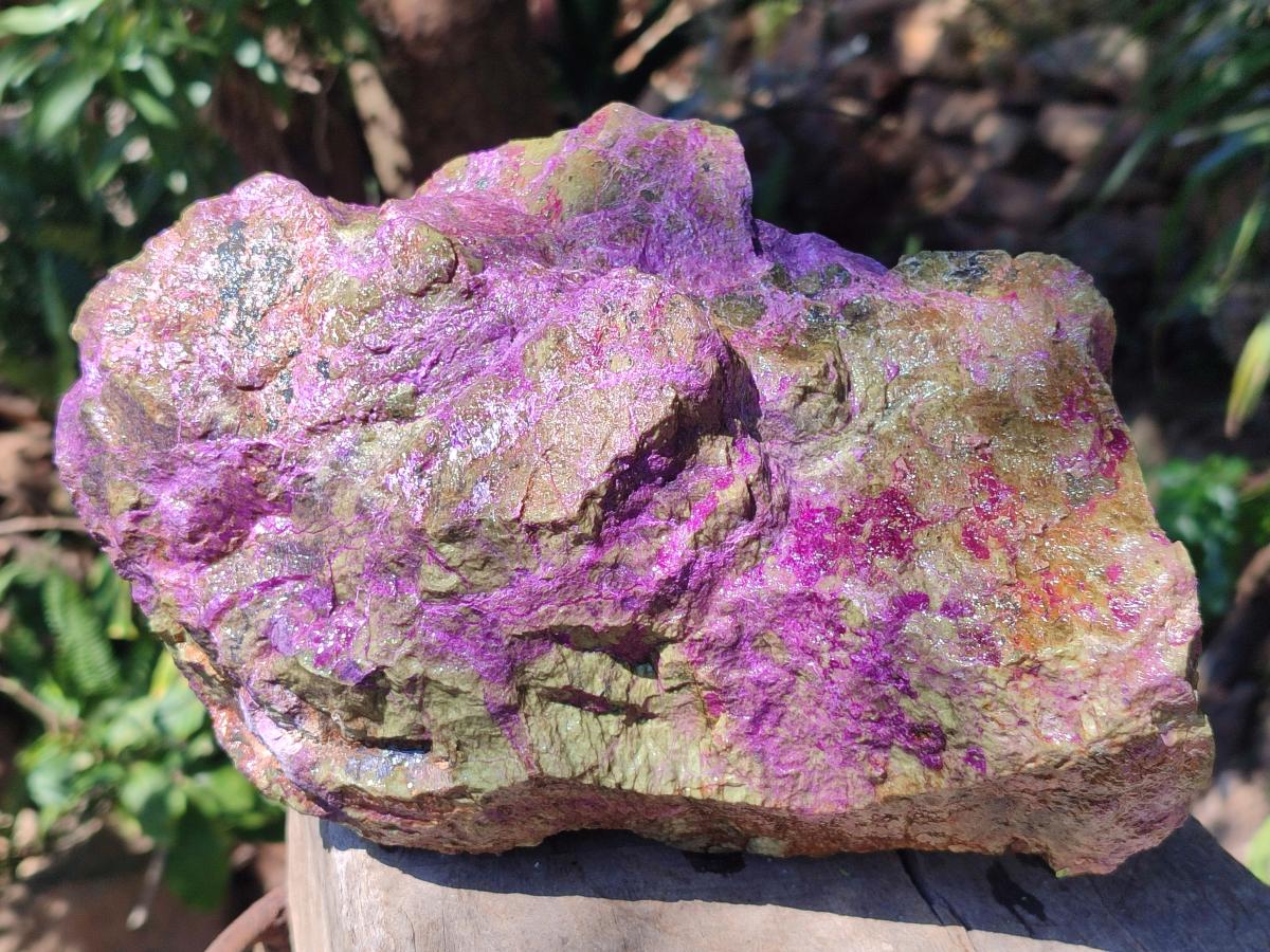 Natural Large Cobbed Stichtite Specimen x 1 From Barberton, South Africa