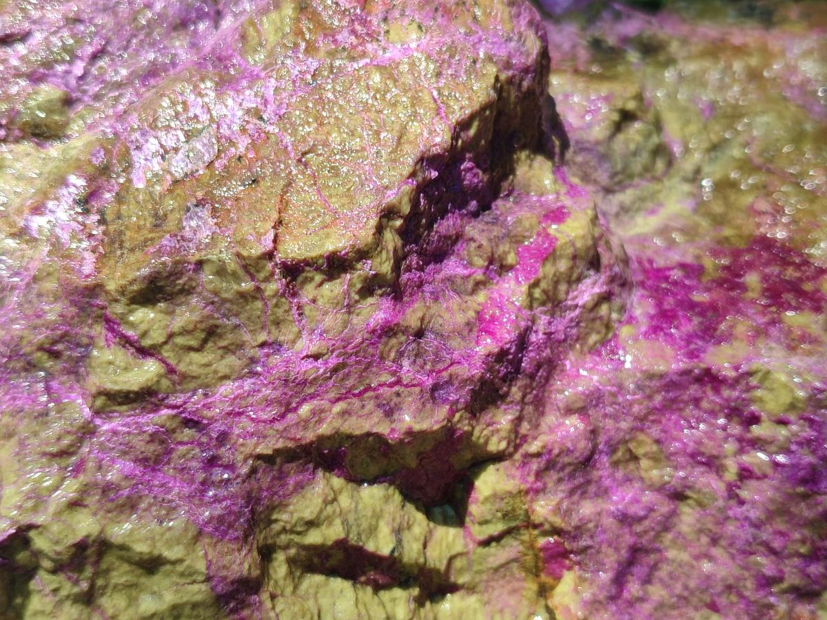 Natural Large Cobbed Stichtite Specimen x 1 From Barberton, South Africa