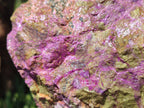 Natural Large Cobbed Stichtite Specimen x 1 From Barberton, South Africa