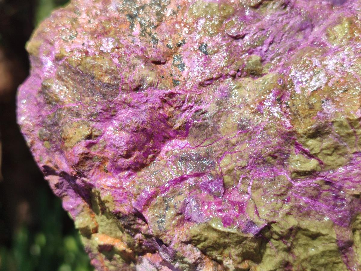 Natural Large Cobbed Stichtite Specimen x 1 From Barberton, South Africa