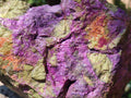 Natural Large Cobbed Stichtite Specimen x 1 From Barberton, South Africa