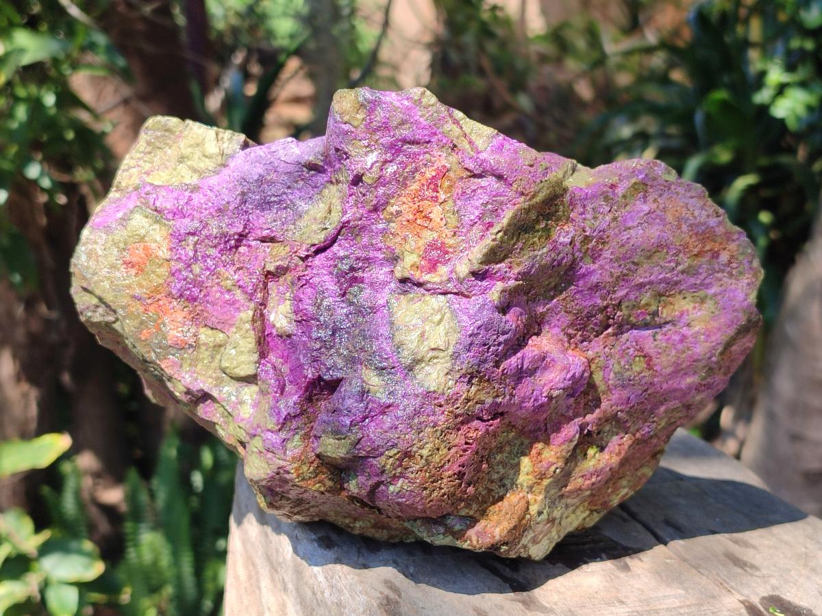 Natural Large Cobbed Stichtite Specimen x 1 From Barberton, South Africa