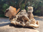 Natural Spearhead Calcite Cluster with Rhombohedral Crystals and Phosphorus Aragonite x 2 From Albert's Mountain, Lesotho