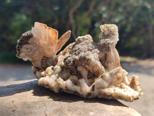 Natural Spearhead Calcite Cluster with Rhombohedral Crystals and Phosphorus Aragonite x 2 From Albert's Mountain, Lesotho