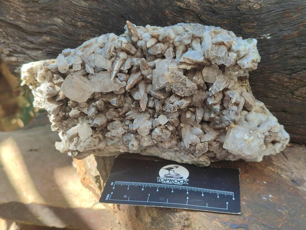 Natural Spearhead Calcite Cluster with Rhombohedral Crystals and Phosphorus Aragonite x 2 From Albert's Mountain, Lesotho