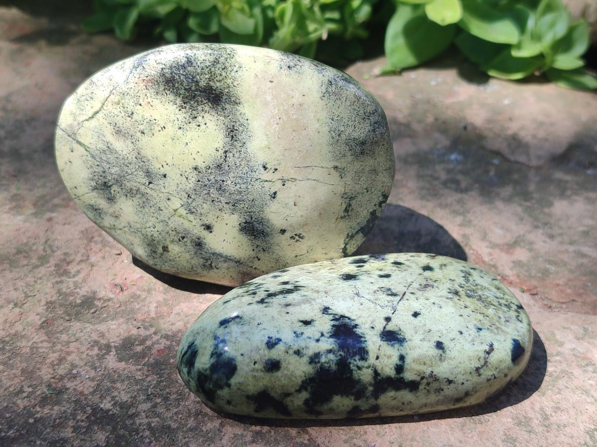 Polished Leopard Stone Free Forms x 6 From Zimbabwe