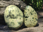 Polished Leopard Stone Free Forms x 6 From Zimbabwe