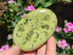 Polished Leopard Stone Free Forms x 6 From Zimbabwe