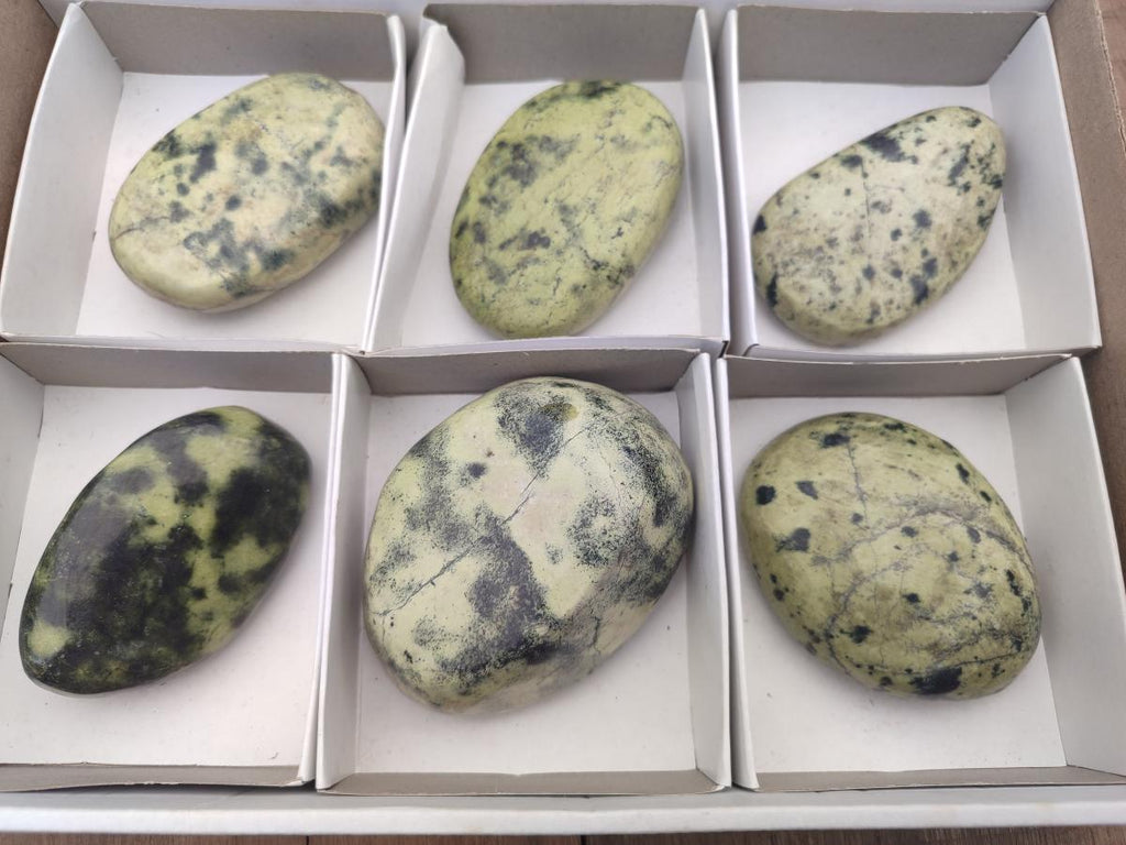 Polished Leopard Stone Free Forms x 6 From Zimbabwe