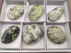 Polished Leopard Stone Free Forms x 6 From Zimbabwe