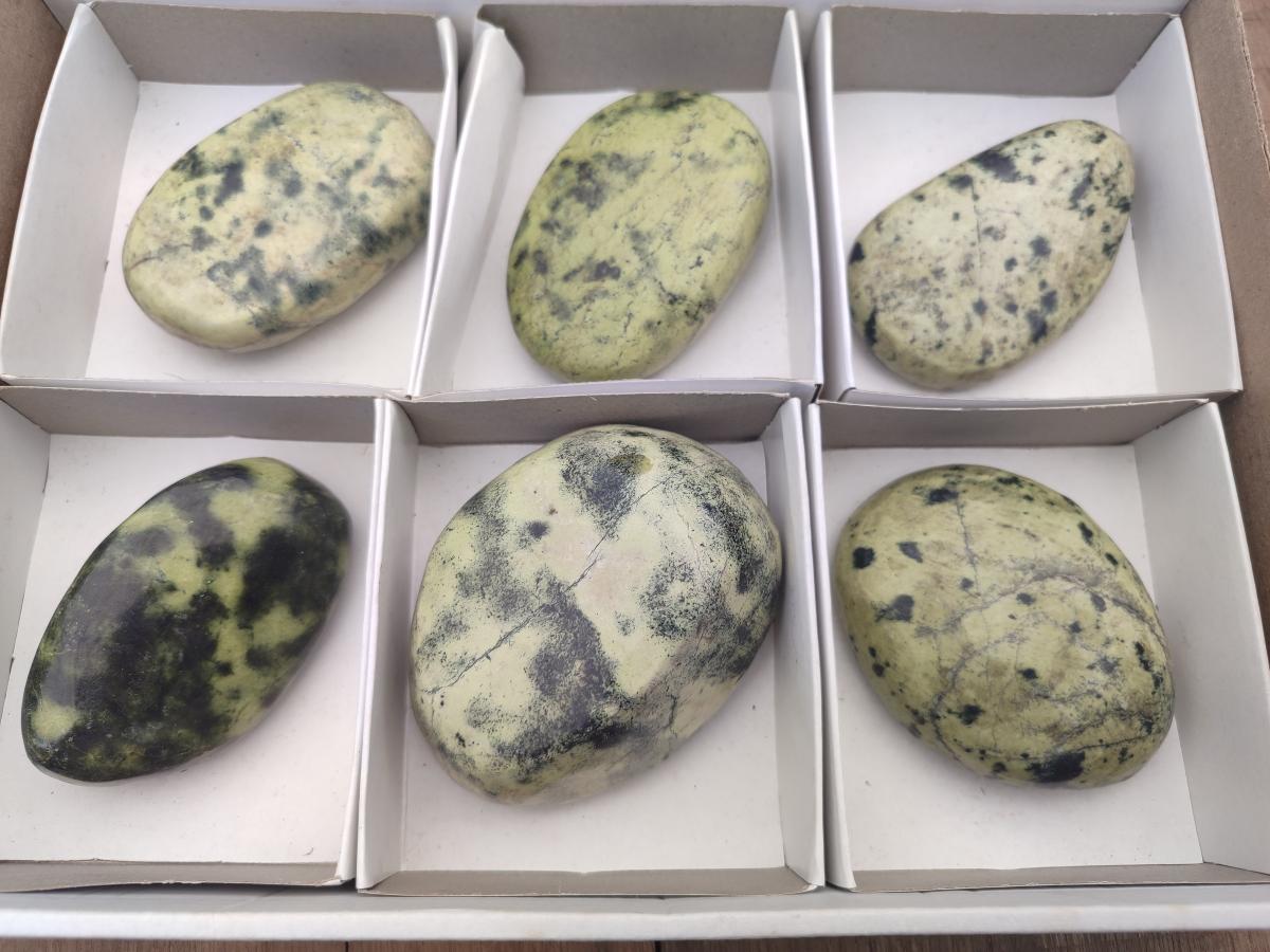 Polished Leopard Stone Free Forms x 6 From Zimbabwe