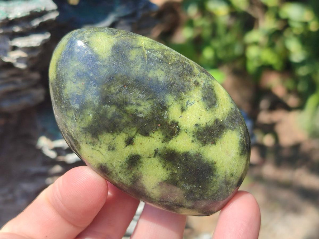 Polished Leopard Stone Free Forms x 6 From Zimbabwe