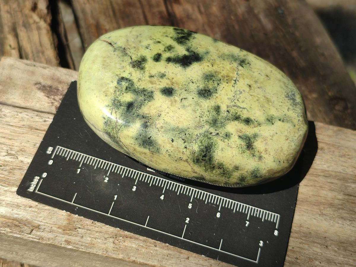 Polished Leopard Stone Free Forms x 6 From Zimbabwe