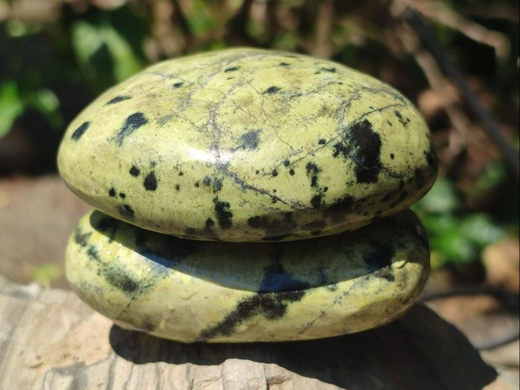 Polished Leopard Stone Free Forms x 6 From Zimbabwe