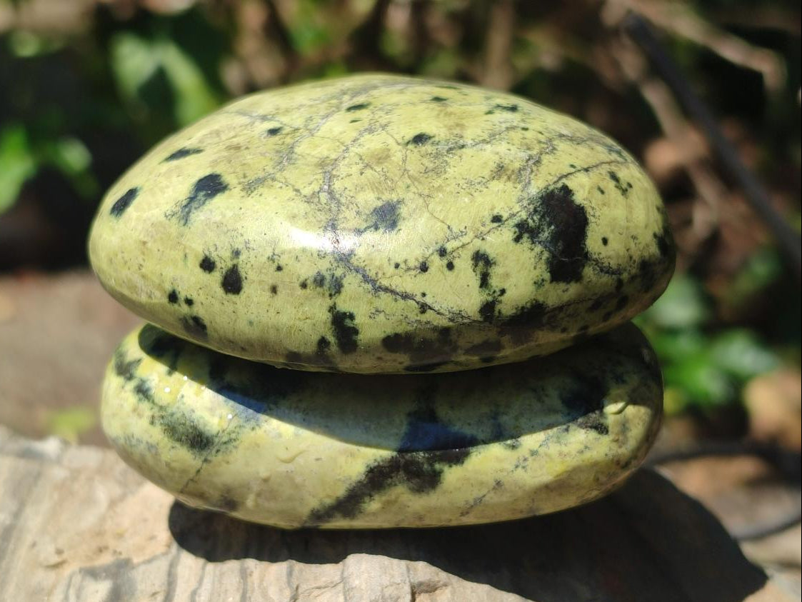 Polished Leopard Stone Free Forms x 6 From Zimbabwe