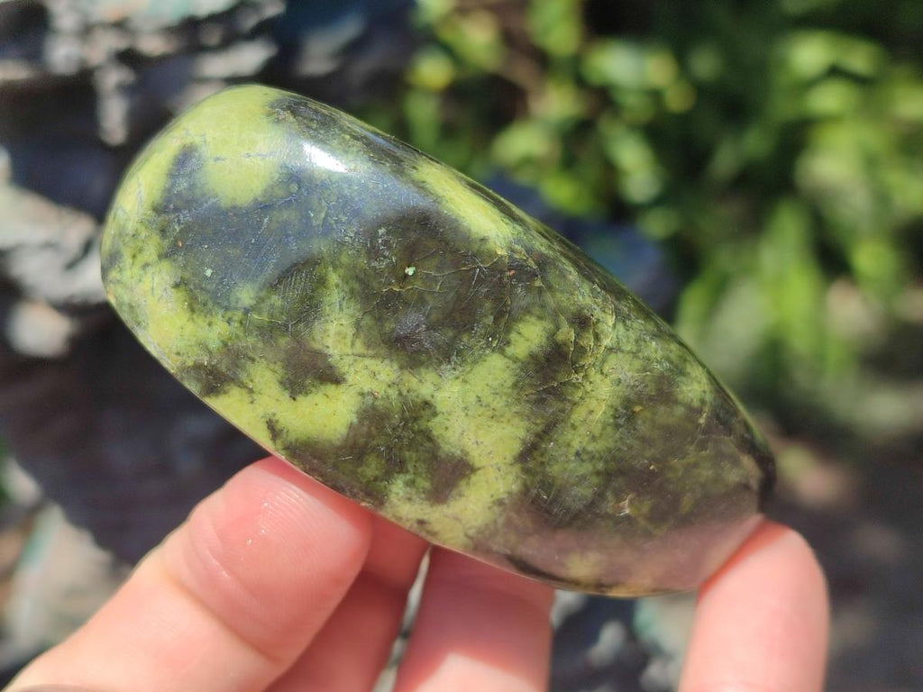 Polished Leopard Stone Free Forms x 6 From Zimbabwe
